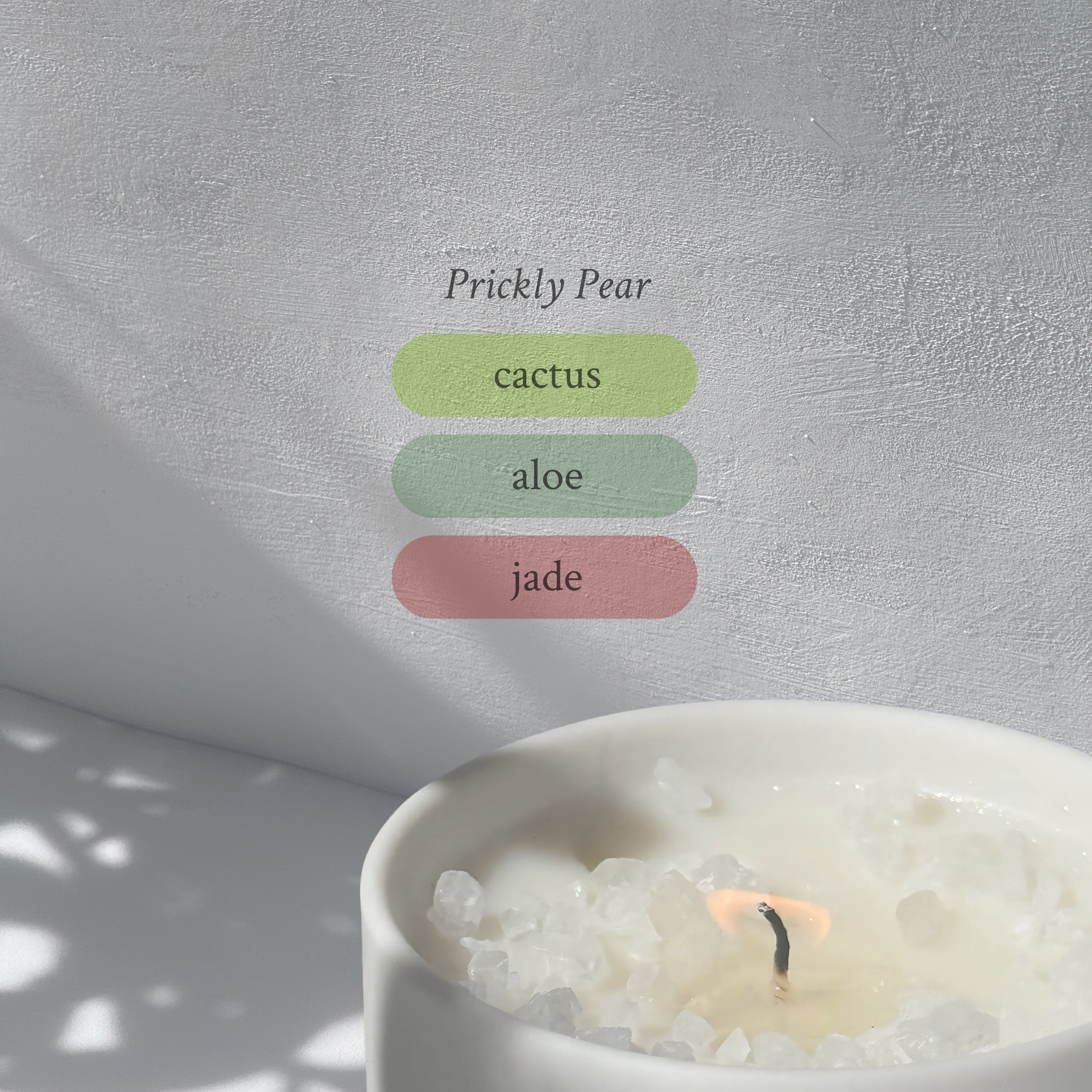 Large stoneware candle, lit, it’s top covered in rock salt. The title reads “Prickly Pear”, and underneath is the scent profile: cactus, aloe, jade.