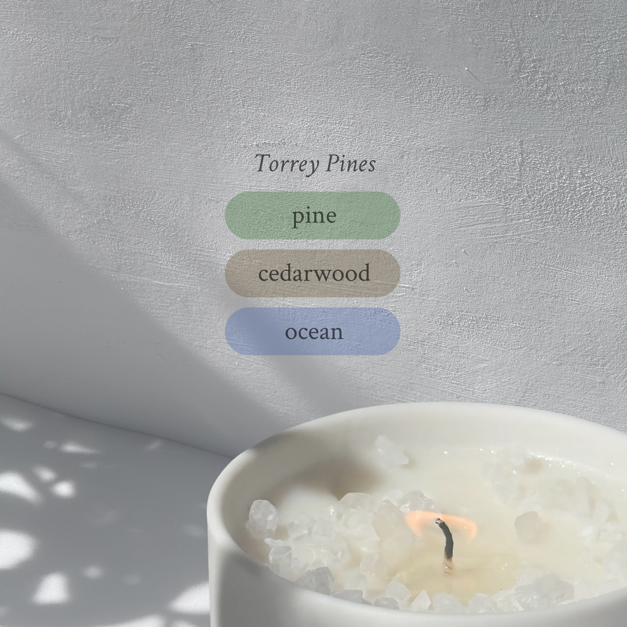 Large stoneware candle, lit, it’s top covered in rock salt. The title reads “Torrey Pines”, and underneath is the scent profile: pine, cedarwood, ocean.